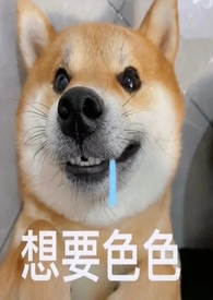 当她的狗(青梅竹马1V2向)